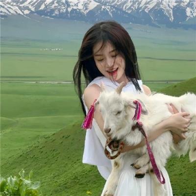 神鹰敢死队
