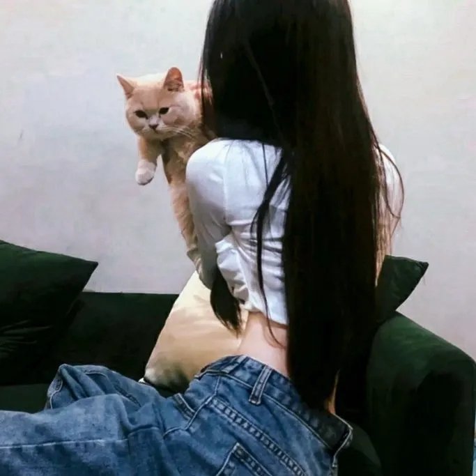 洞房夜新娘